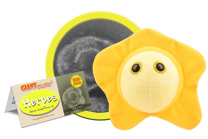 Herpes plush doll cluster