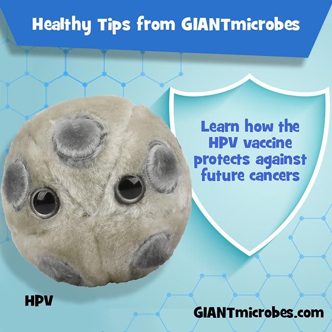 Healthy Tips HPV