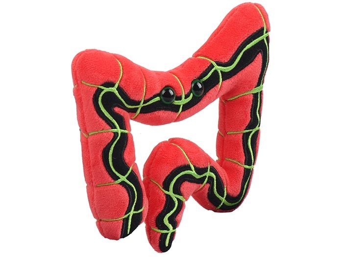 IBS plush angle