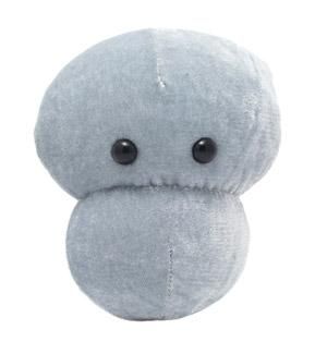 Meningitis plush doll