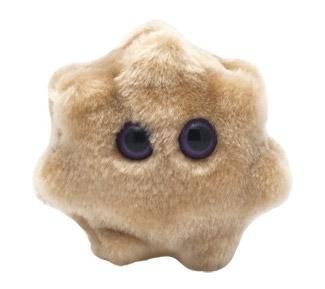 Rotavirus plush doll