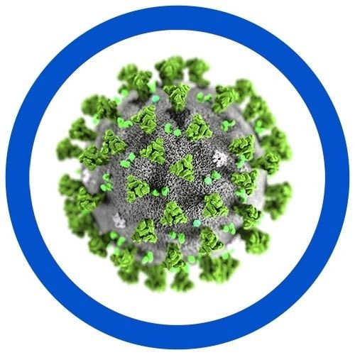 SARS real microbial image