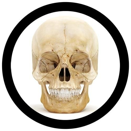 Deluxe Skull real image