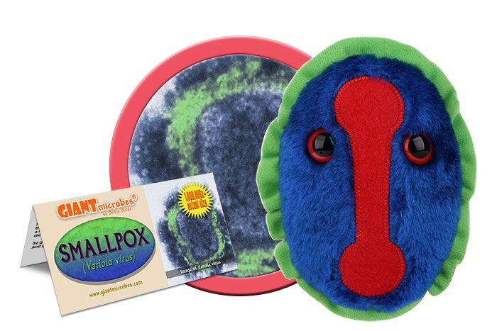 Smallpox plush cluster