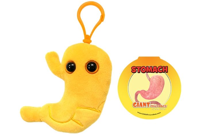 Stomach with tag