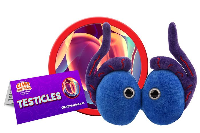 Testicles plush cluster