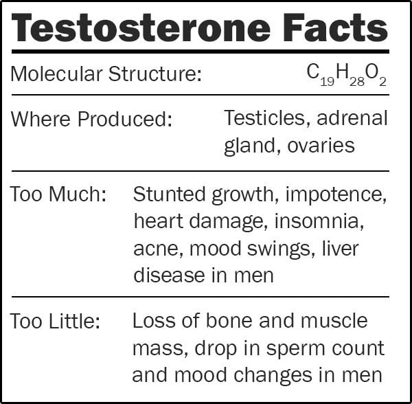 Testosterone facts
