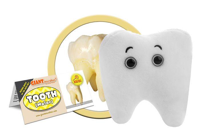 Tooth plush cluster