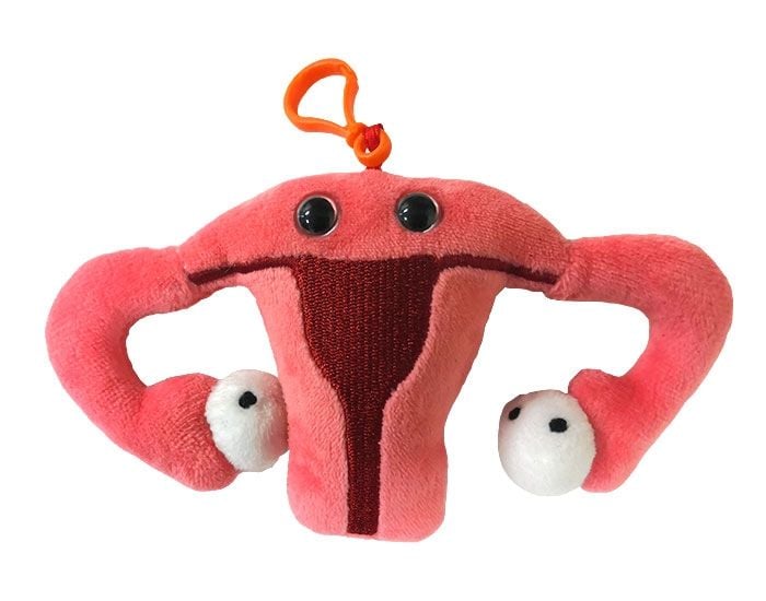 Uterus key ring