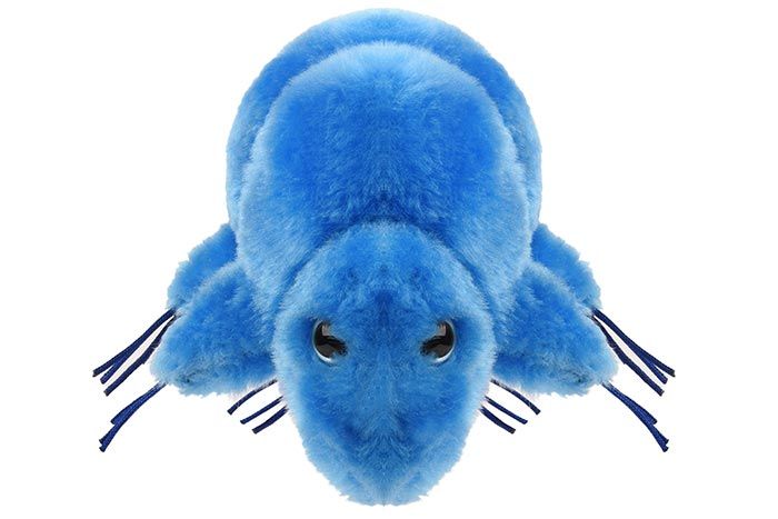 Waterbear plush doll front