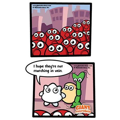 giant microbes red blood cell