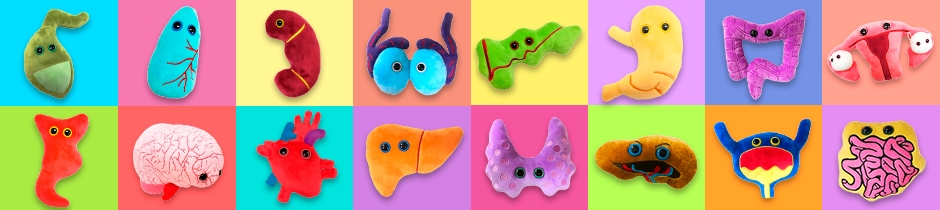 Organs Organs