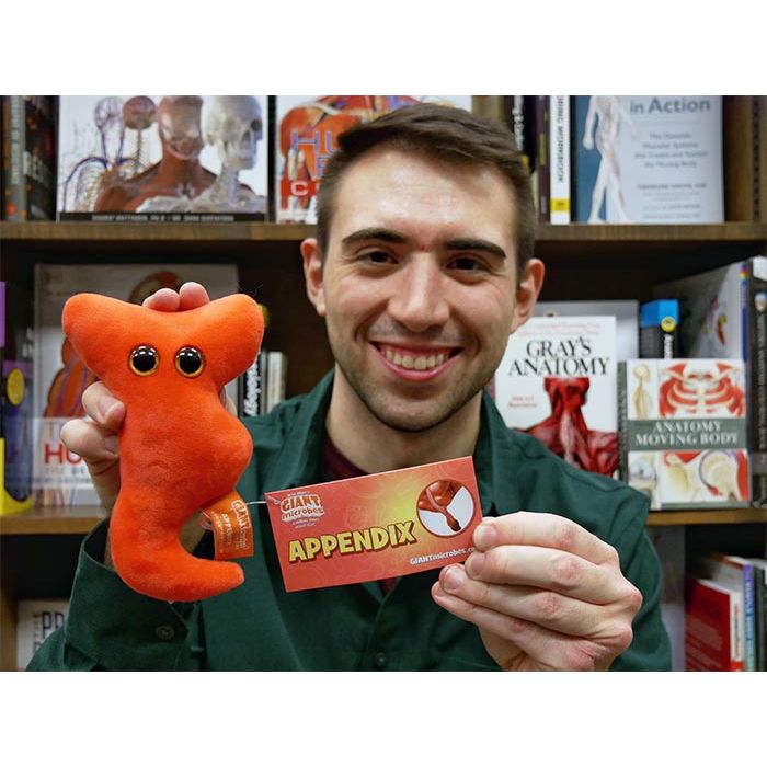 Appendix guy books