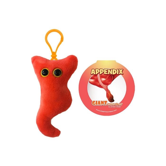 Appendix with tag