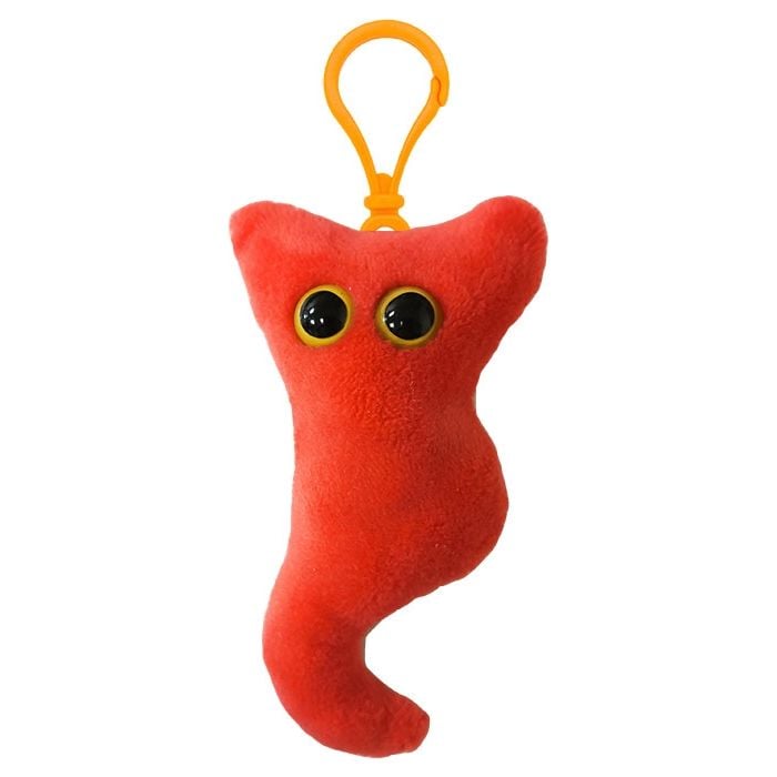 Appendix key ring