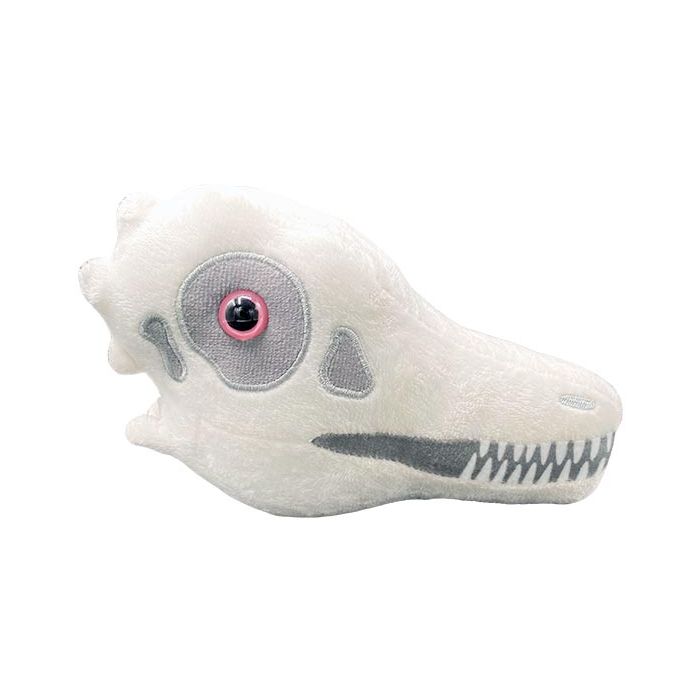 Archaeopteryx plush skull side