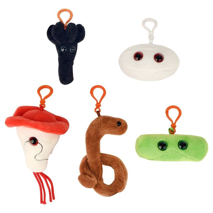 Biohazards box minis