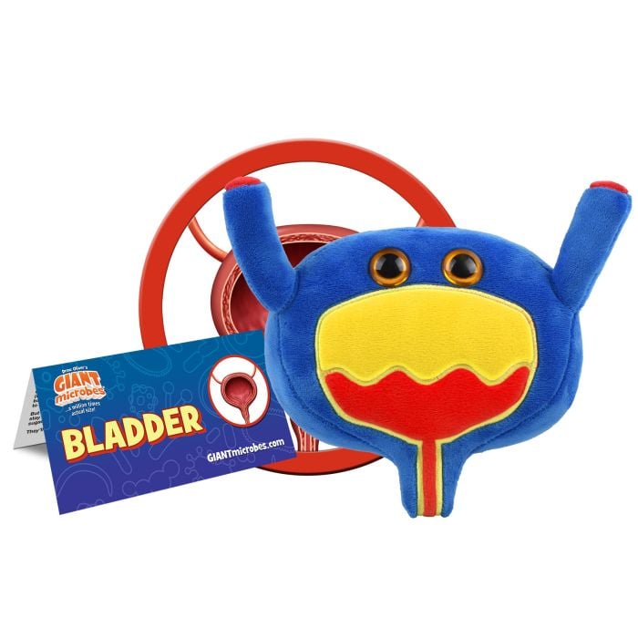 Bladder plush UK cluster