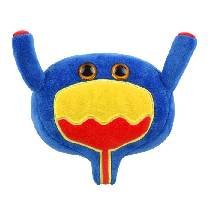 Bladder plush UK doll