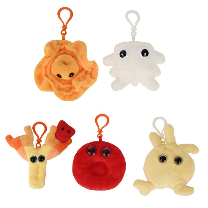 Blood Cells box minis Blood Cells box minis