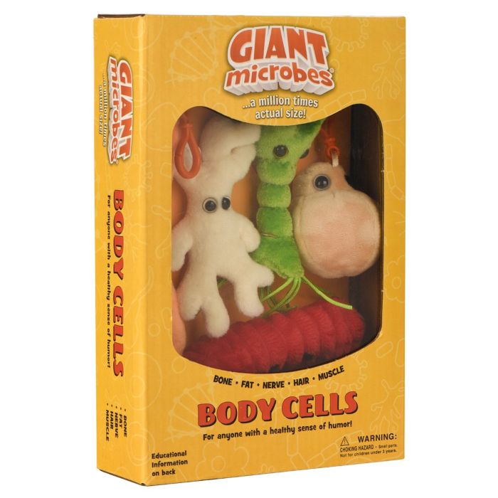 Body Cells box angle