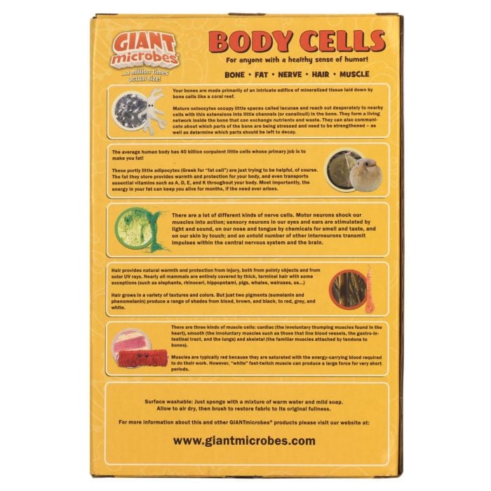 Body Cells box back