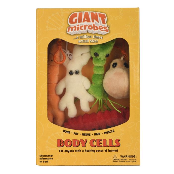 Body Cells box front