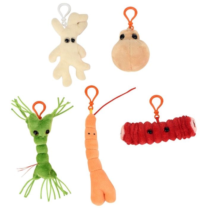 Body Cells box minis