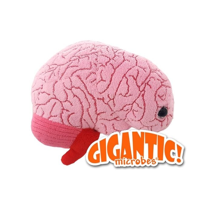 Brain Gigantic 