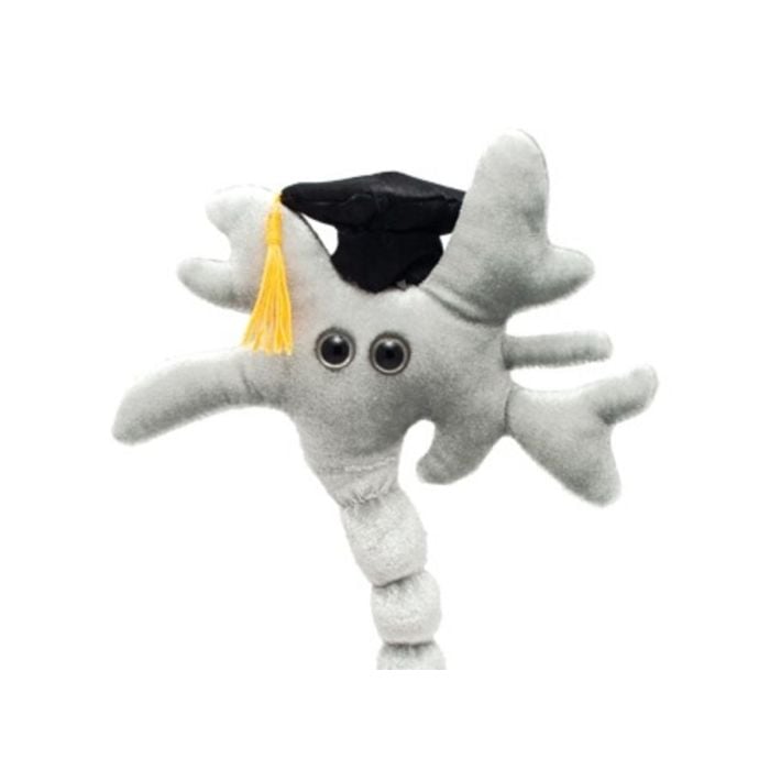 Graduation Brain close up