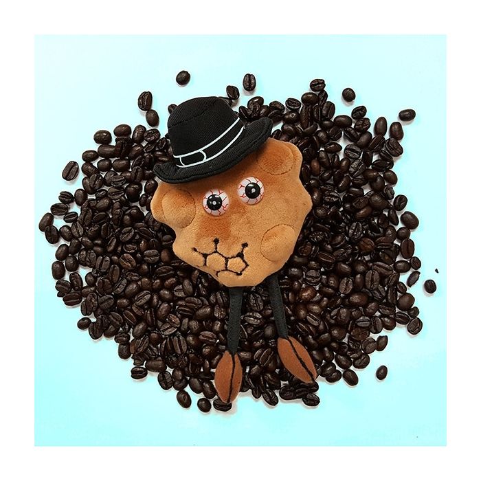 Caffeine beans