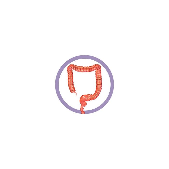 Colon real image