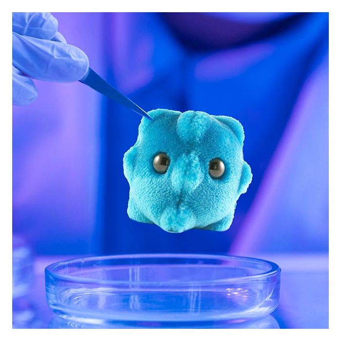 Common Cold lab