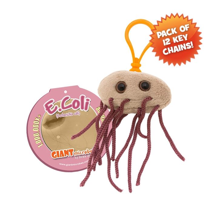 E. Coli KC pack
