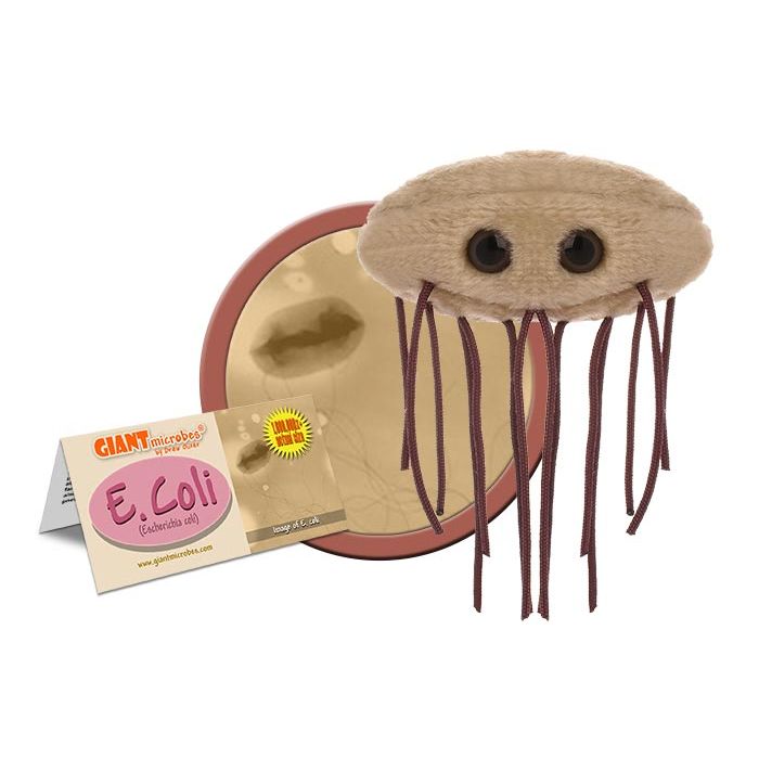 E. coli plush cluster