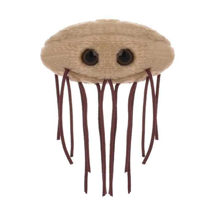 E. coli plush front
