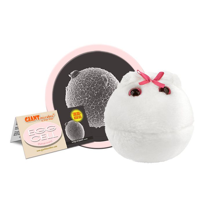 Egg Cell plush cluster