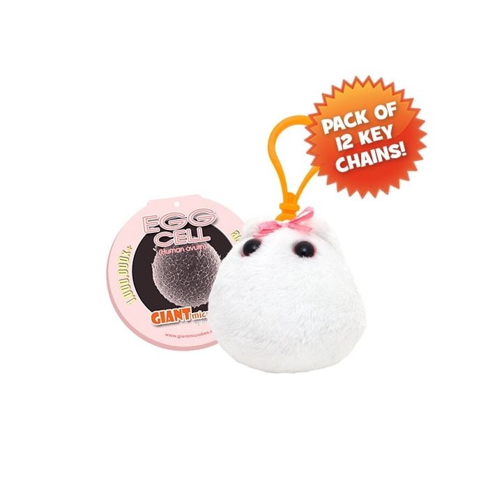 Egg Cell KC pack