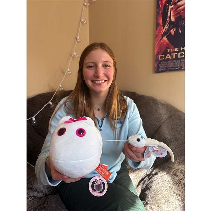 Egg and sperm plush with model