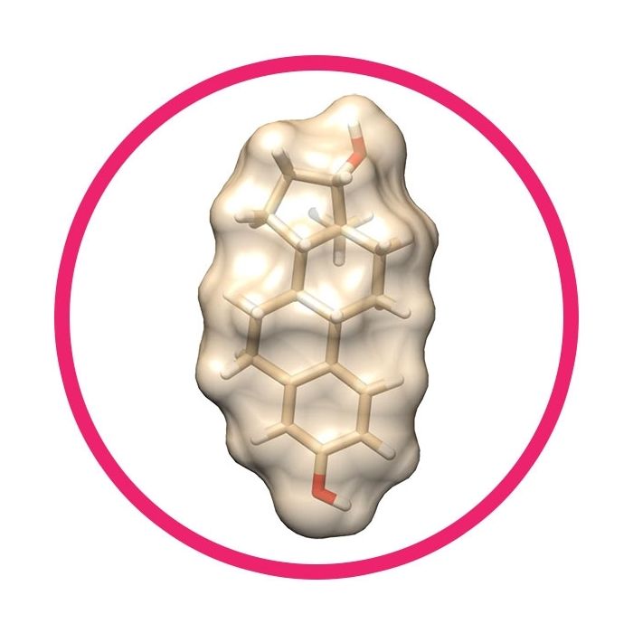 Estrogen molecule