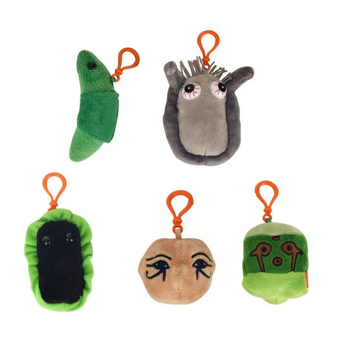 Exotic Vacation box minis Exotic Vacation box minis