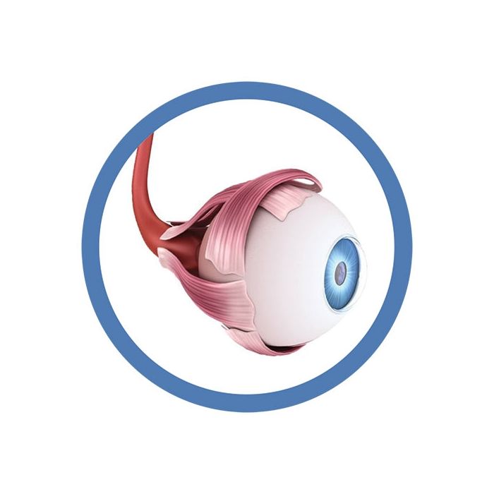 Eyeball real image