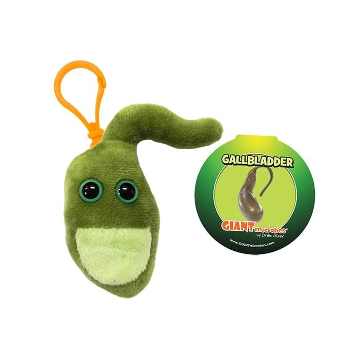 Gallbladder with tag