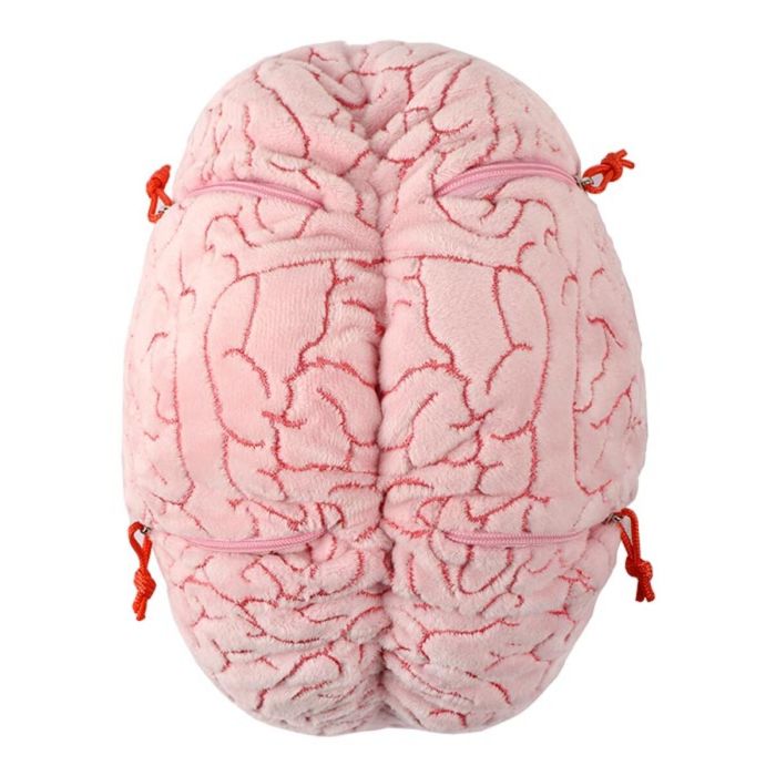 XL Brain top closed