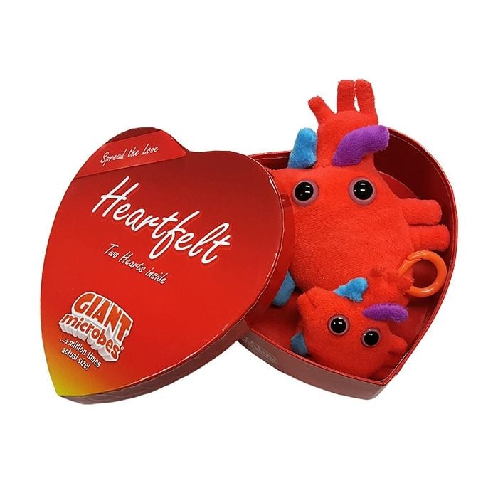 Heartfelt box open