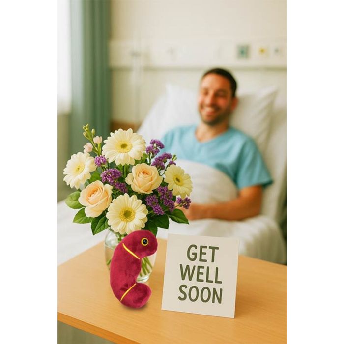 Kidney plush get well gift