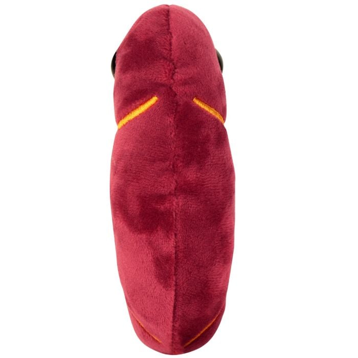 Kidney plush new back