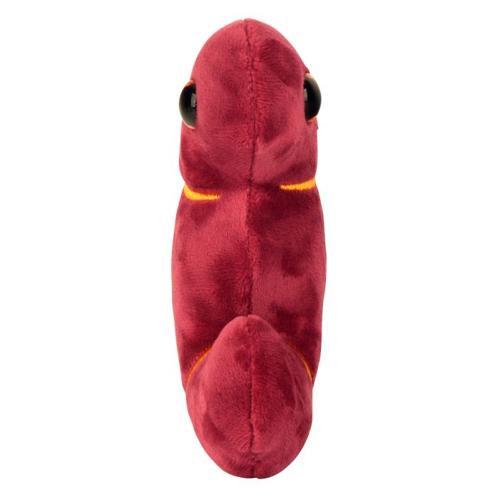 Kidney plush new front