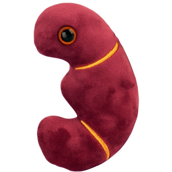 Kidney plush new side