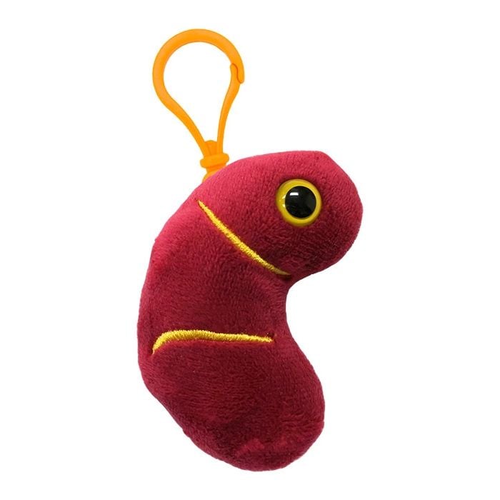 Kidney key ring